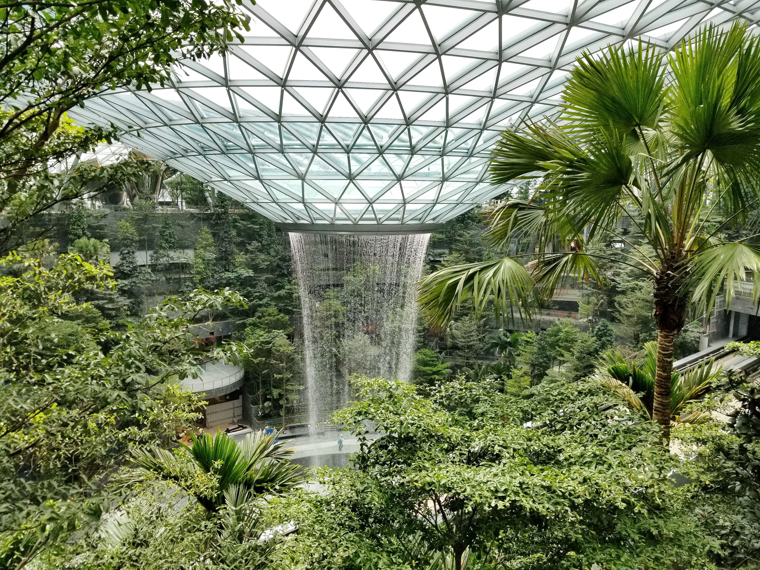 A waterfall falling through a glass toroid roof into an indoor forest
